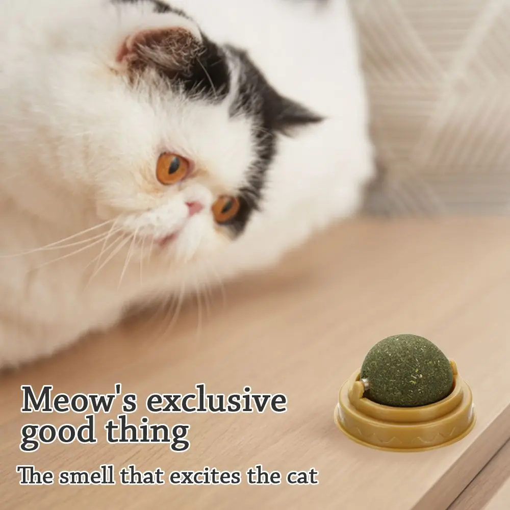 Moistureproof Kačių Žaislai Pasukti Valgomieji Pasukti Katžolių Kamuolius Interaktyvi Katė Monetų Kalykla
