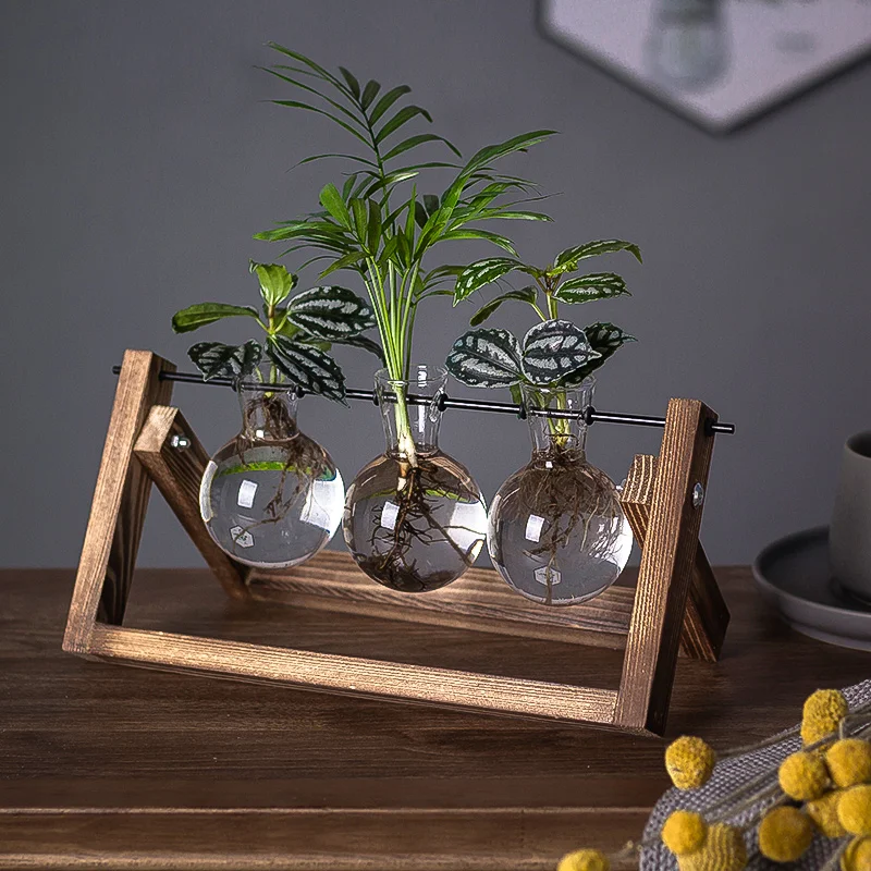 Stalo stiklo vazos, papuošalai namų puošybai augalų dizaino prasme kambarį apdaila žalieji augalai hydroponic laivai