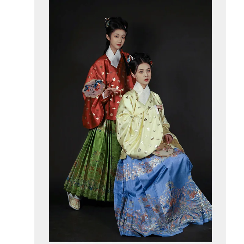 YouChun Kiniška Tradicinio Siuvinėjimo Hanfu Sijonas Ming Dinastijos Austi Aukso Žirgas Veido Sijonas Princesė Etape Kostiumai